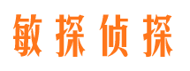 石嘴山外遇出轨调查取证